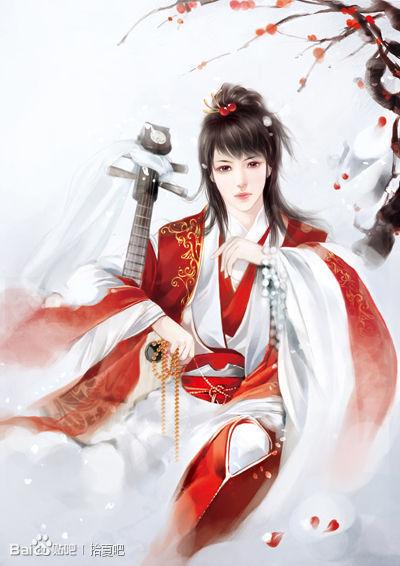 一念佳人小说陆斐盈枝